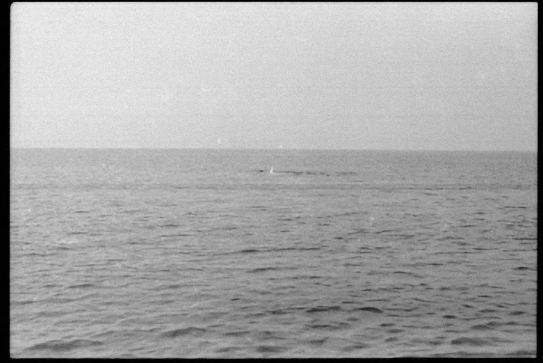 the ocean in black and white has a man sailing in the middle