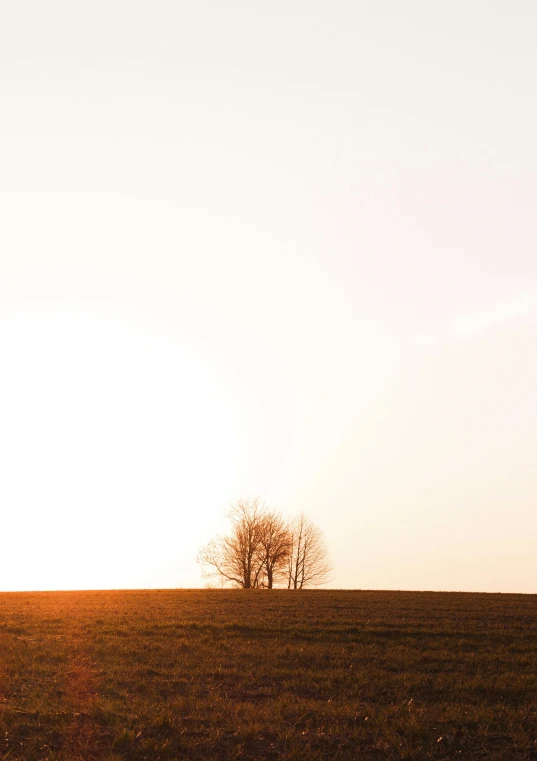 a person holding a surfboard is standing on a hill