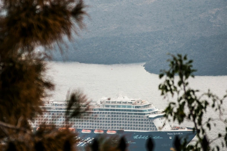 a large cruise ship is parked near a shore