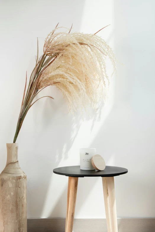 an abstract art pograph of dried plants on the side table