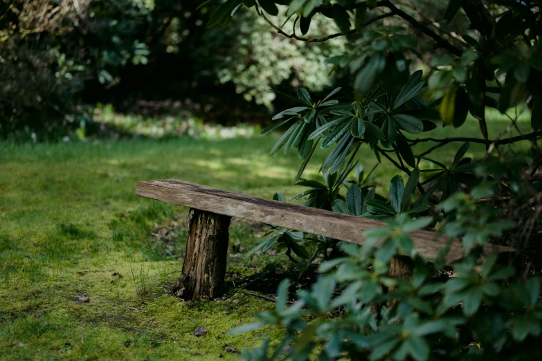 an old wood bench is next to some grass