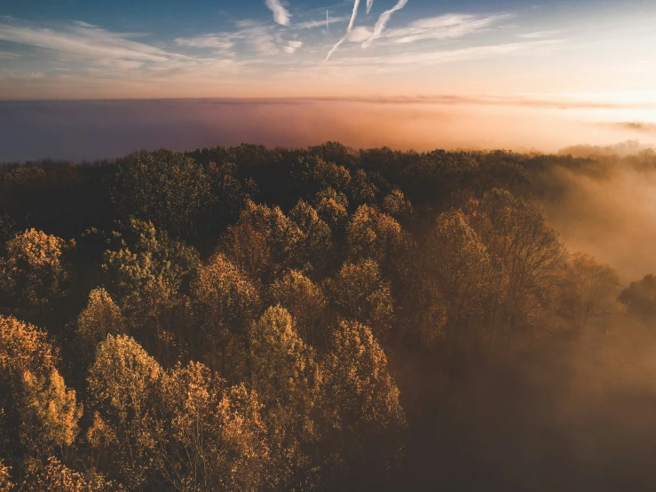 the sun shines in a wooded area as it peeks above the clouds