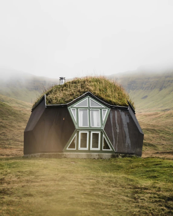 a building has a green roof in the country