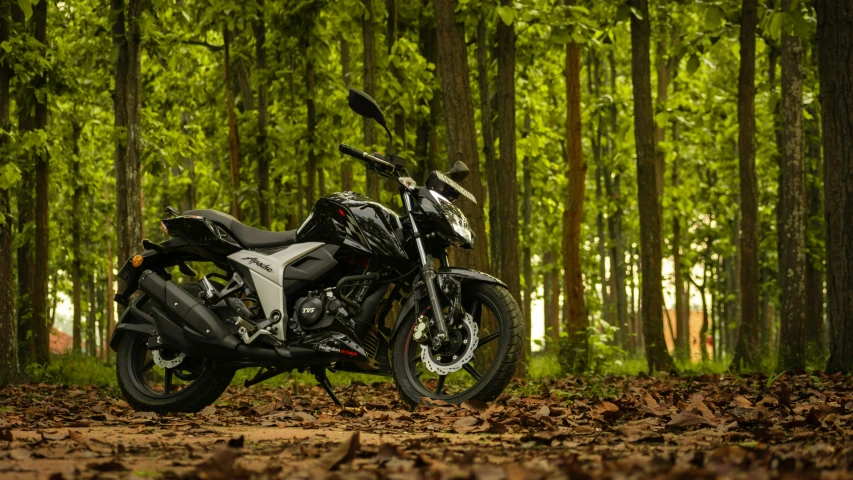 a motorcycle parked in front of trees and leaves