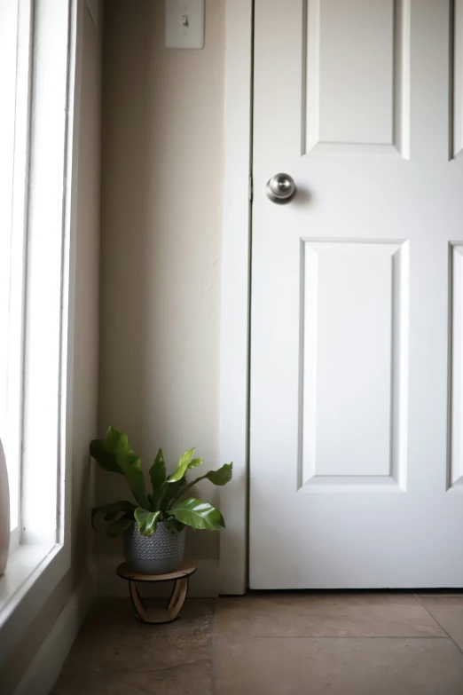 a door that has a plant in the corner on top of it