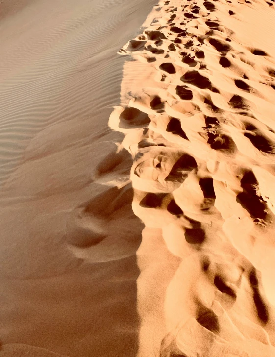 a line of footprints in the sand in the desert