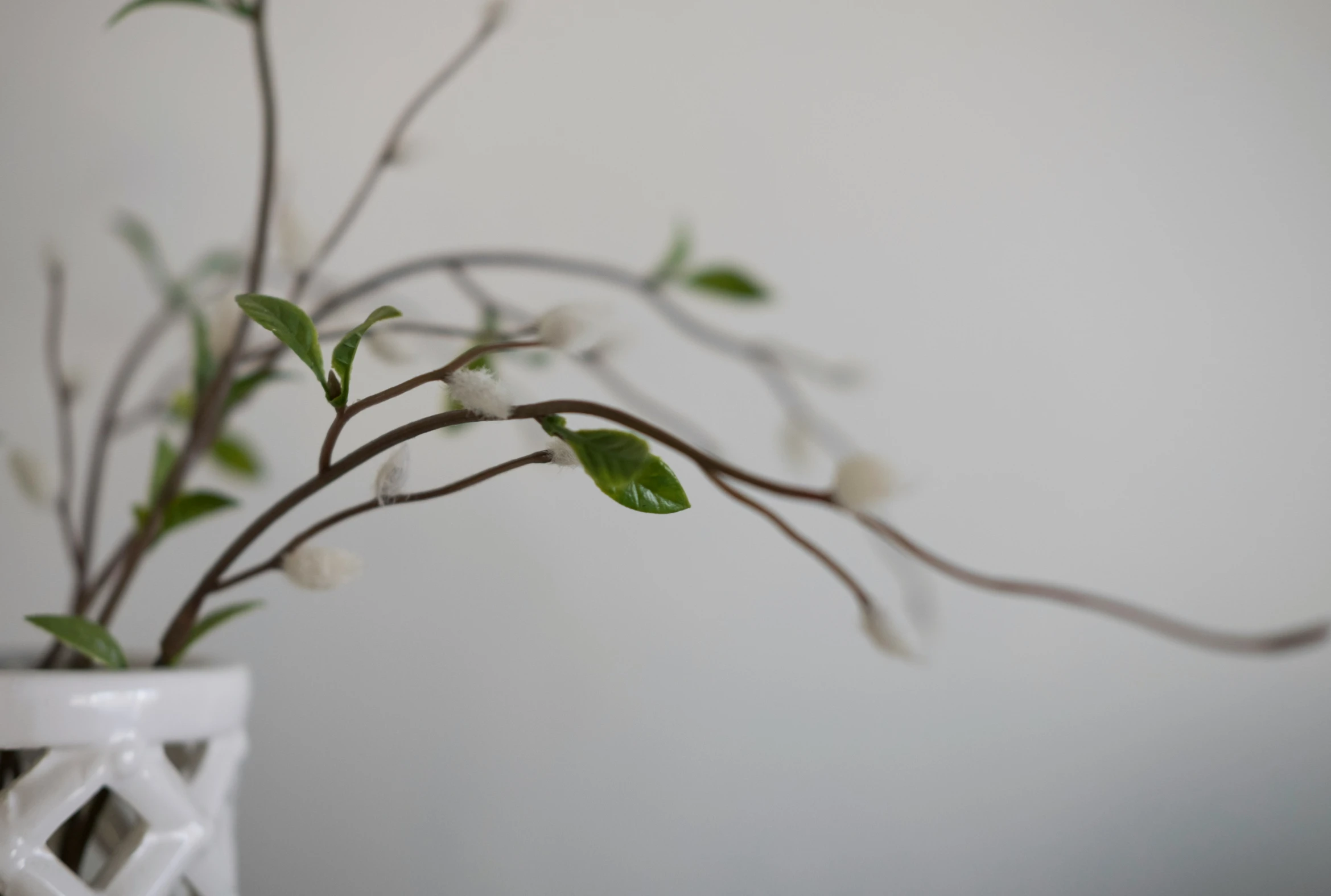 a close up of a white vase filled with plants