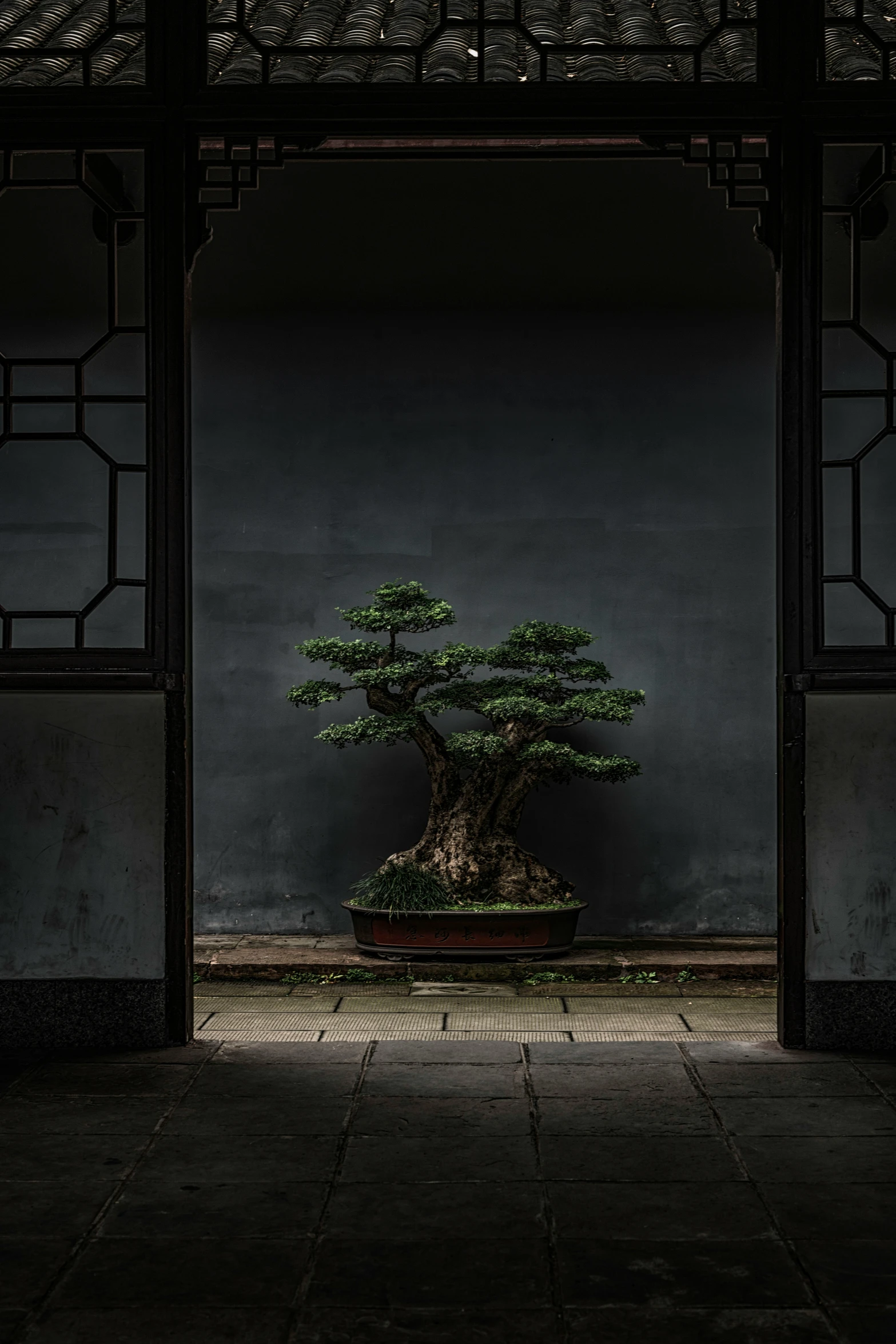 a bonsai tree on display in a stone courtyard