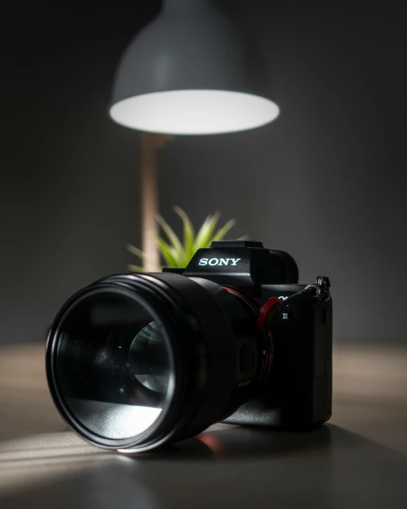 a camera with a lens and a flower in a vase