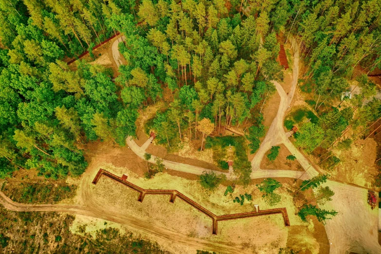 aerial s of road surrounded by trees