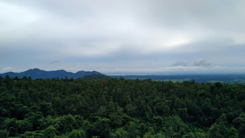 an open field with some trees and mountains