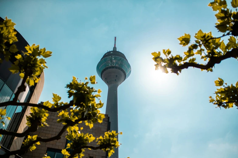 the tv tower in berlin is very tall