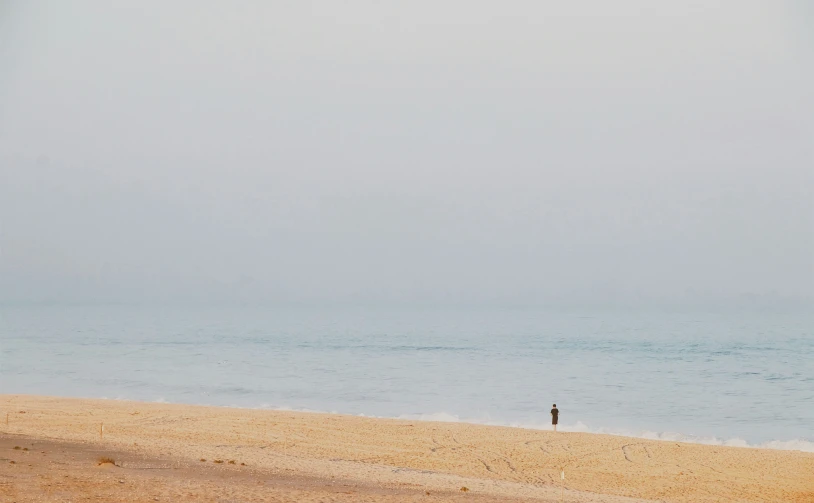 two people fly a kite on the beach