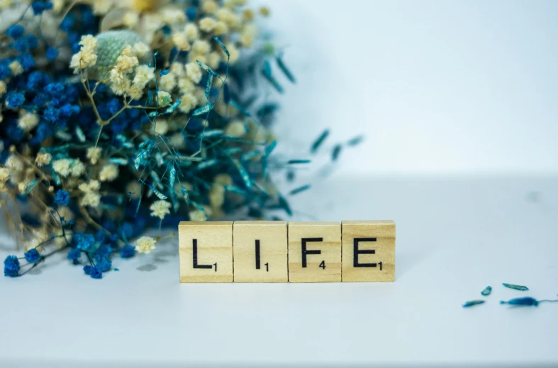 small wooden block that says life next to dried flowers