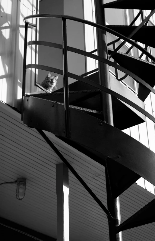 a stair rail under a building with a spiral staircase