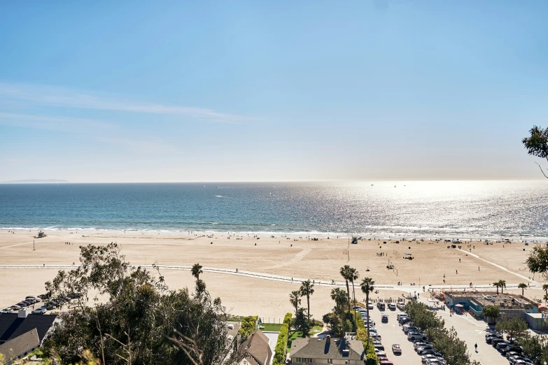 a beach lined with palm trees and houses