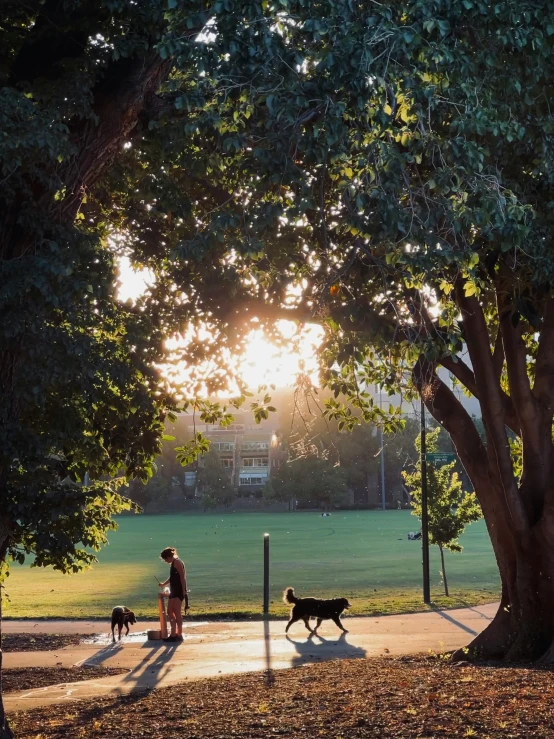 a dog and its trainer are enjoying the park