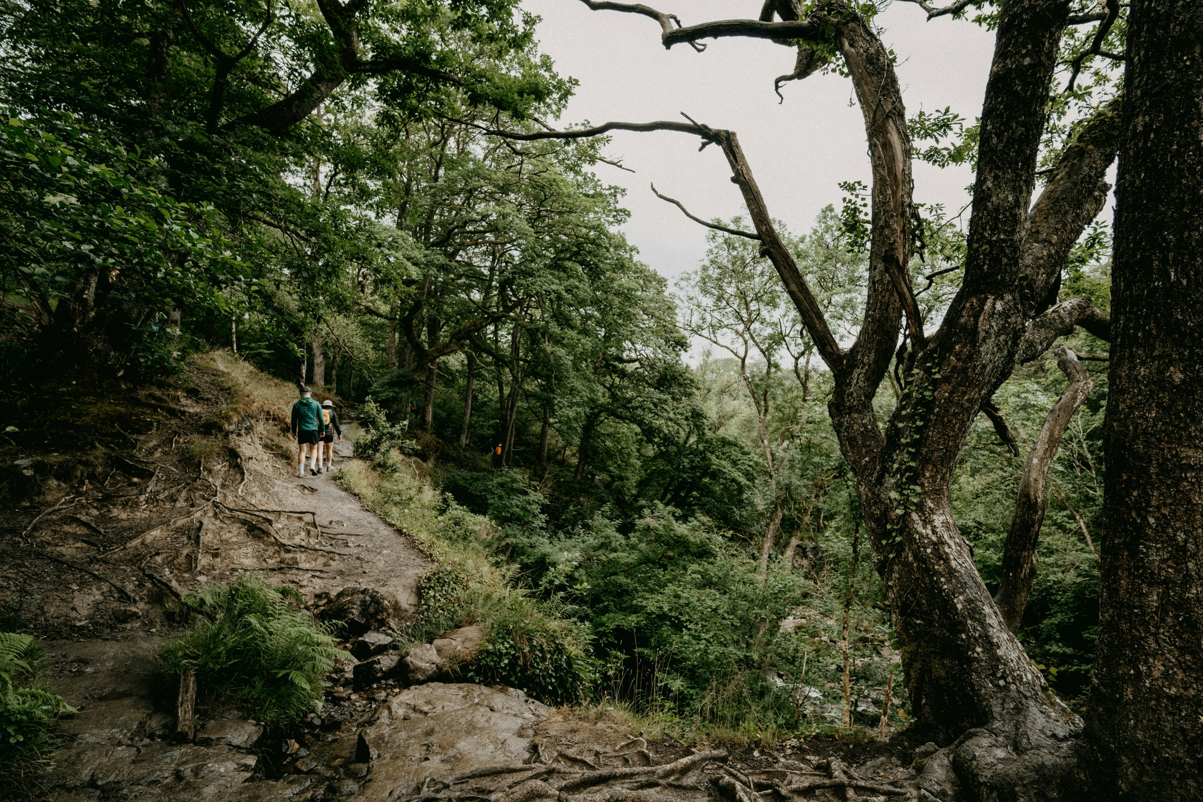 a lone hiker walking up the side of a mountain trail