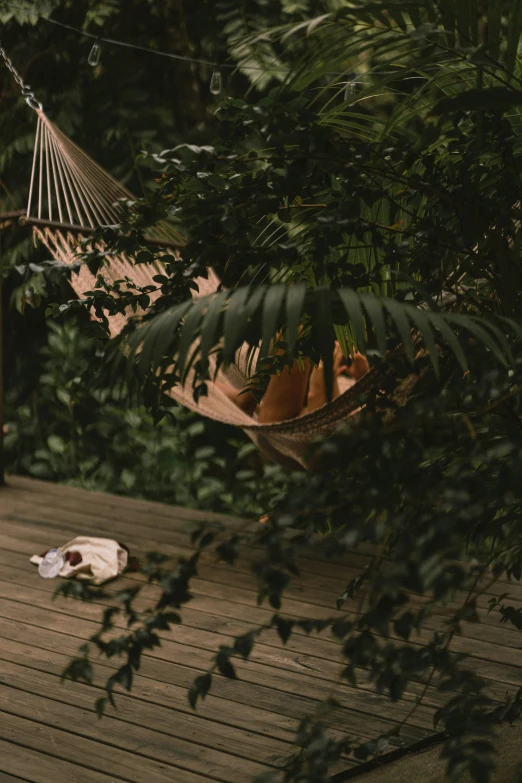 there is a hammock that is in the trees