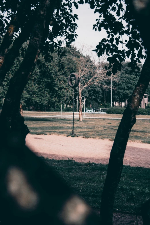 a park with a few trees and a large sign hanging off the side of it