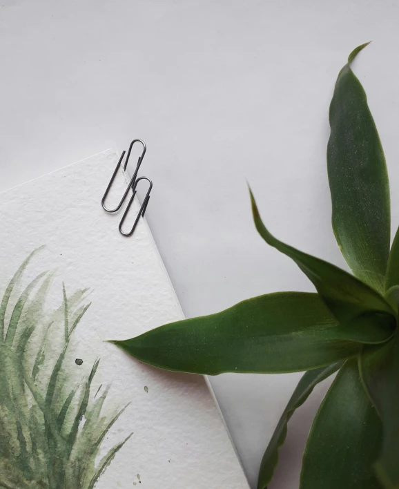 close up of scissors on a sheet of paper next to plants