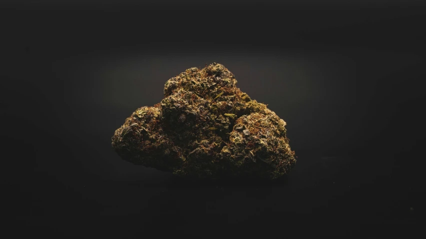 a cannabis leaf on a black surface