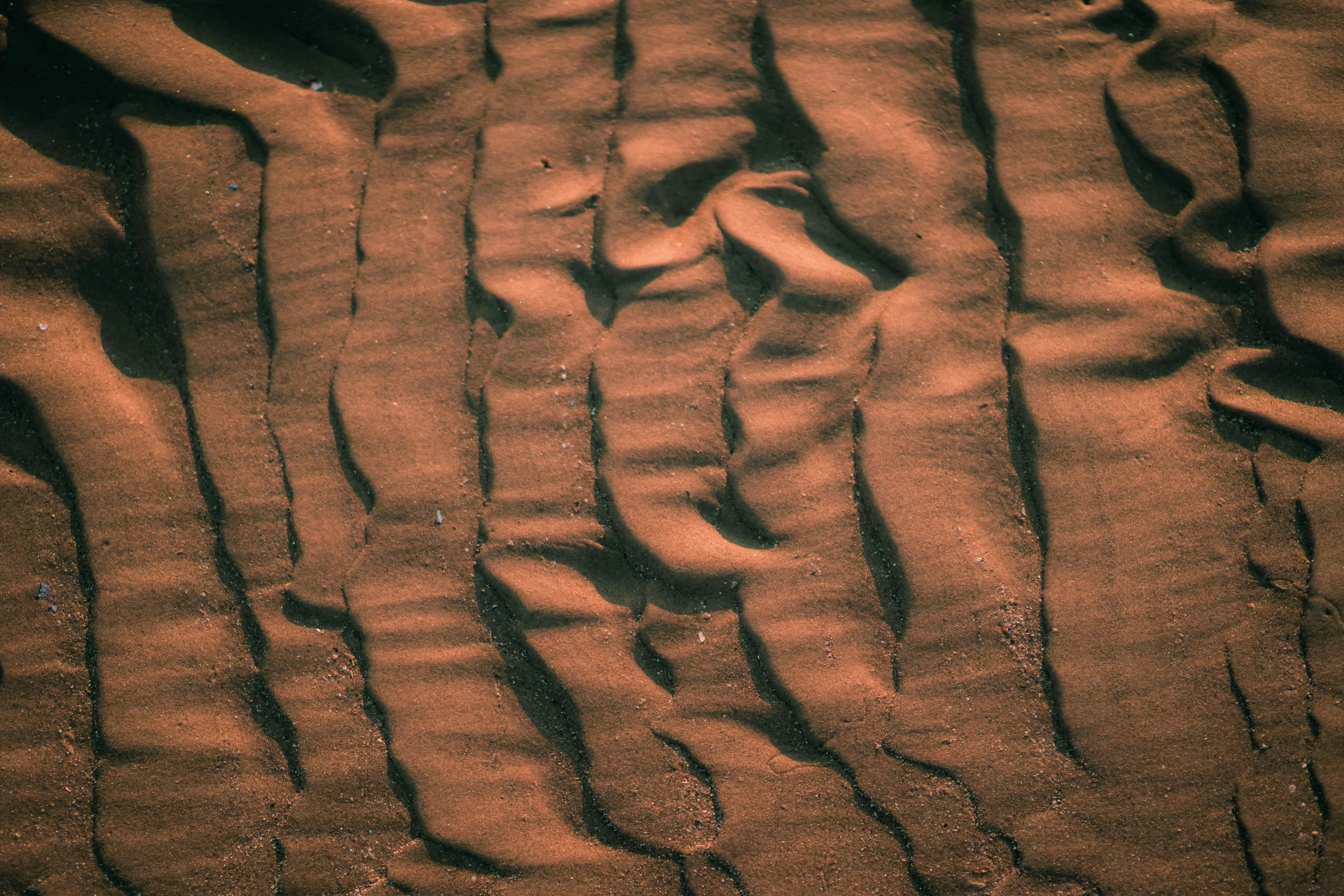 patterns in the sand and grass that have been planted into them