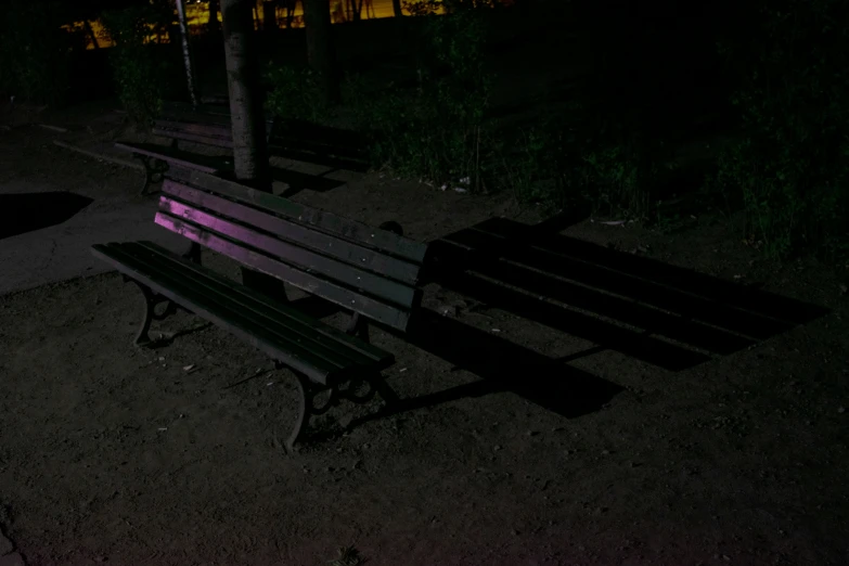two benches on a park by trees at night