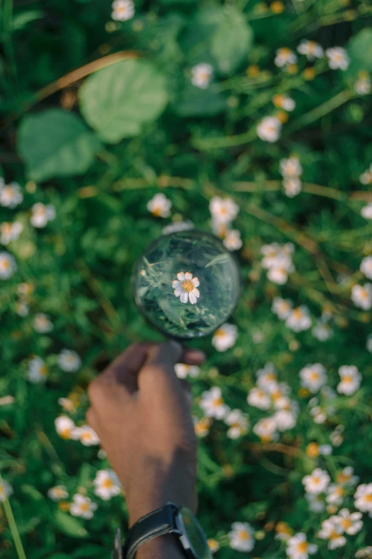 a hand holding an object that looks like a flower