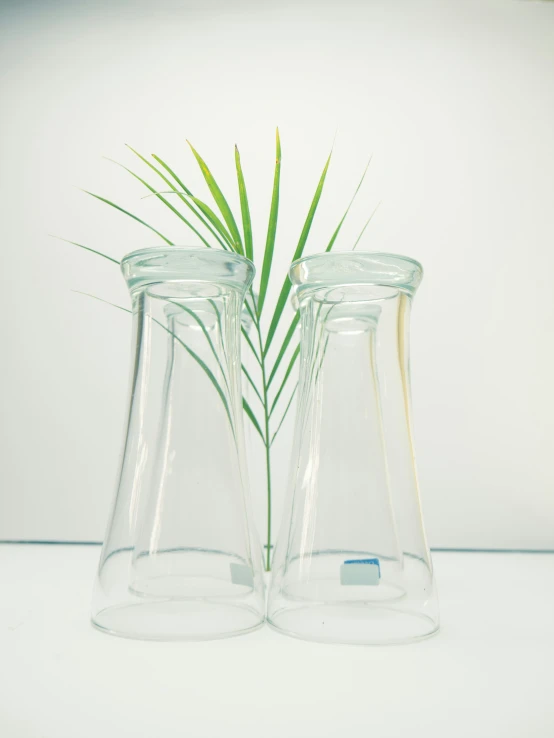 a couple of clear vases sitting next to each other