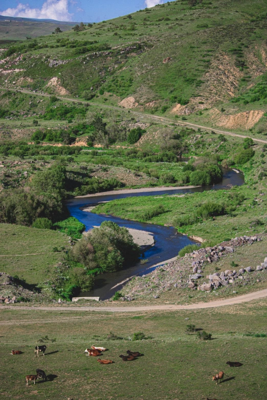 a beautiful green valley with cattle on the side of it