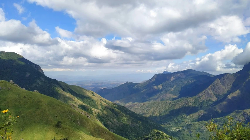 a view over mountains and valley with flowers in the foreground