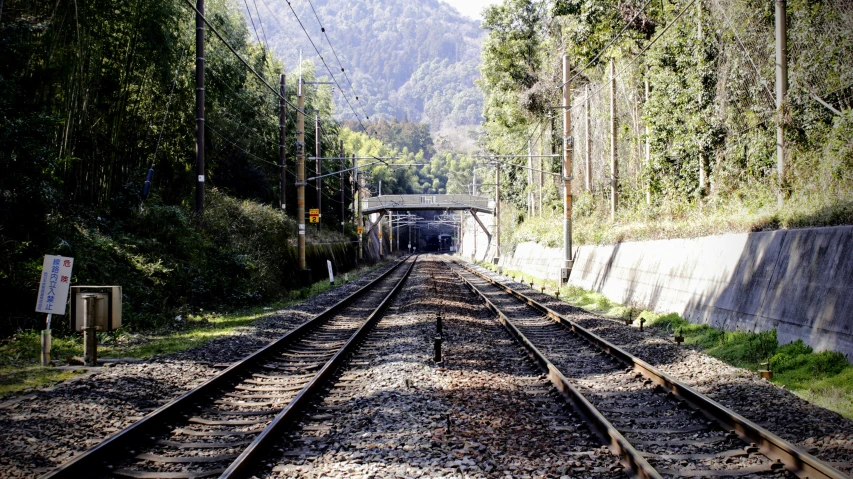 a tunnel for railroad tracks on a forested mountain