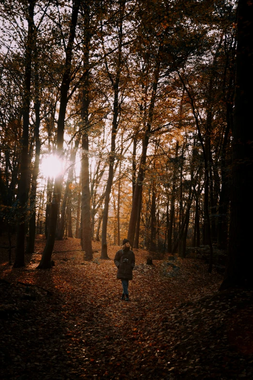 a person walking down a forest path at sunset