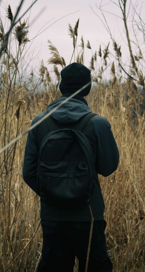 a person walking in tall grass towards the sky