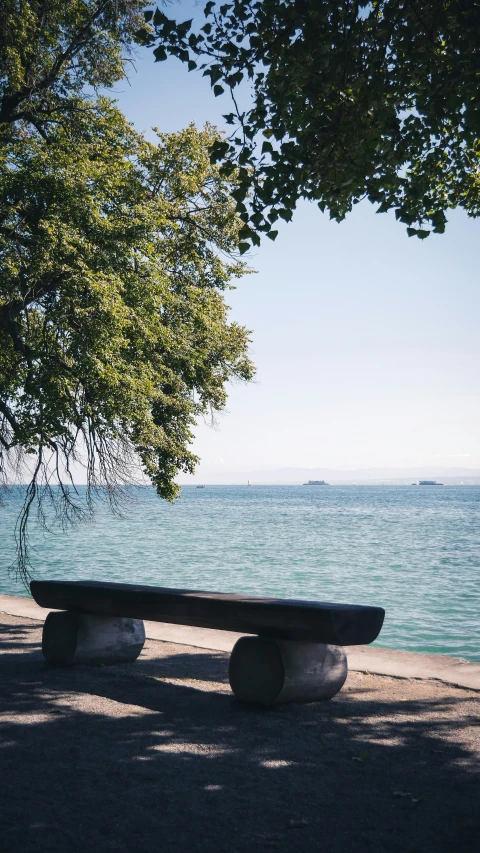 two benches under a tree on the edge of water