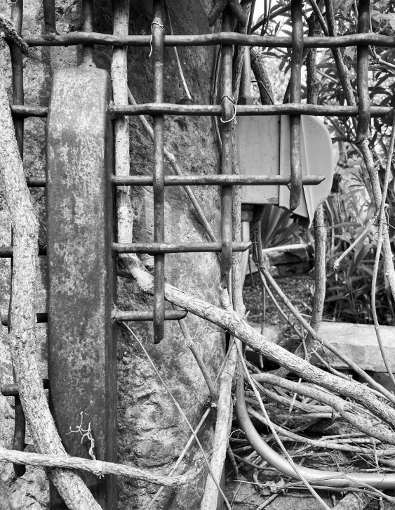 a fence is leaning up on a tree