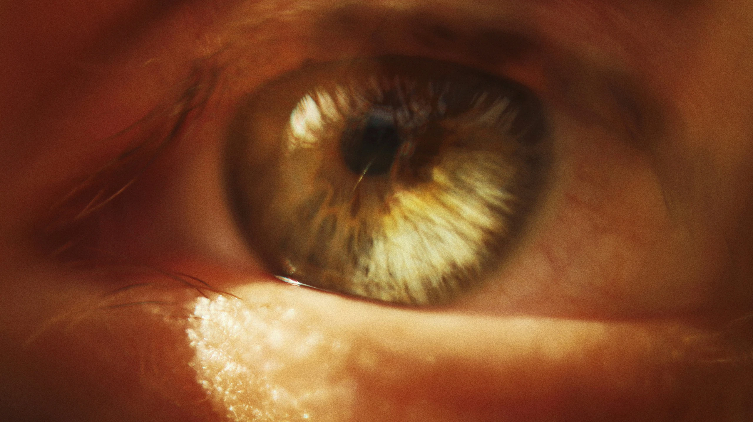 an eye is pictured with an orange and yellow background