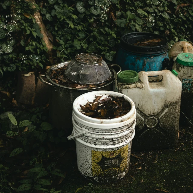 some old trash cans outside, with grass on the ground