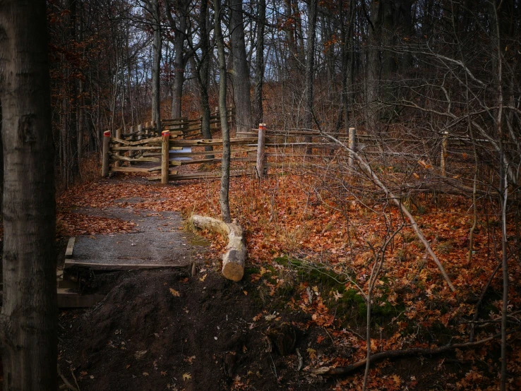 a wooden gate in a forest during the fall