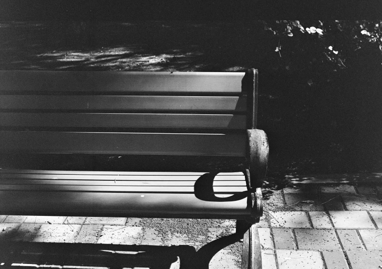 a bench sitting on top of a sidewalk next to a forest