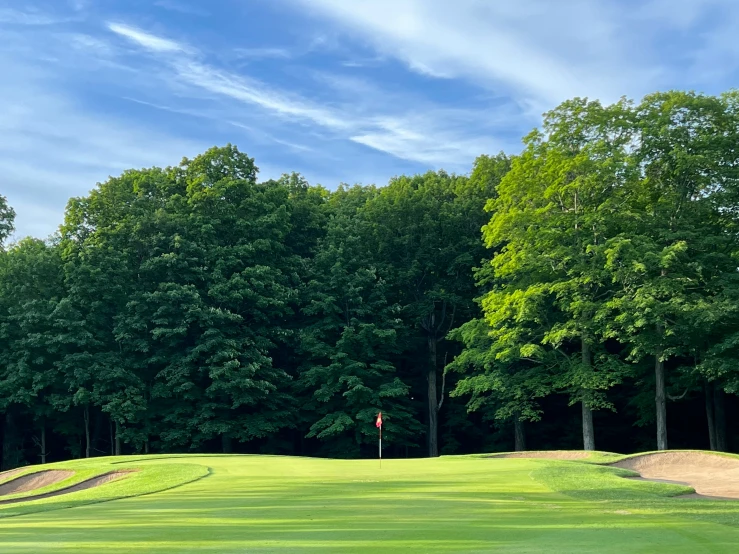 a green with sand bunkers in the woods