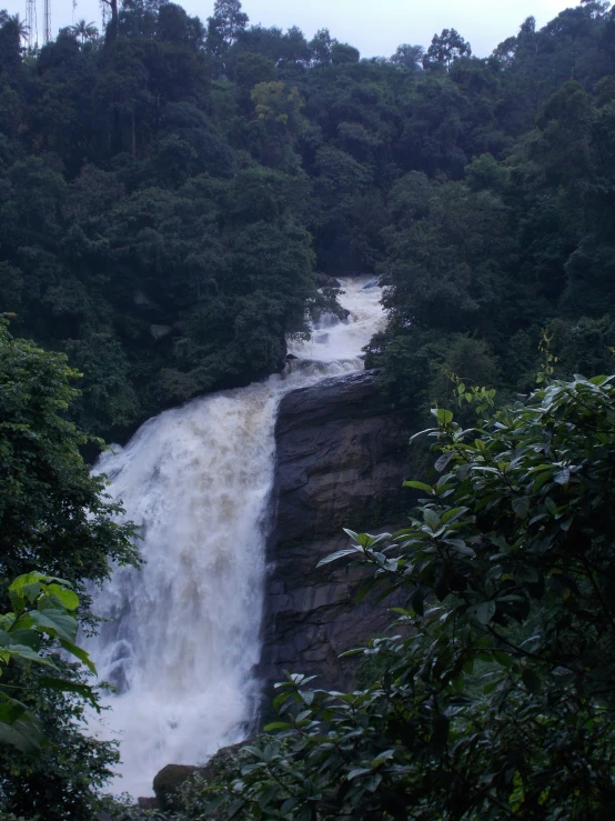 a waterfall cascades into the woods to overflow water