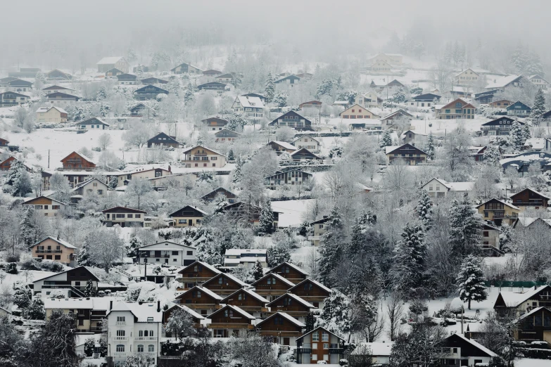 a snow covered town sits on a hill