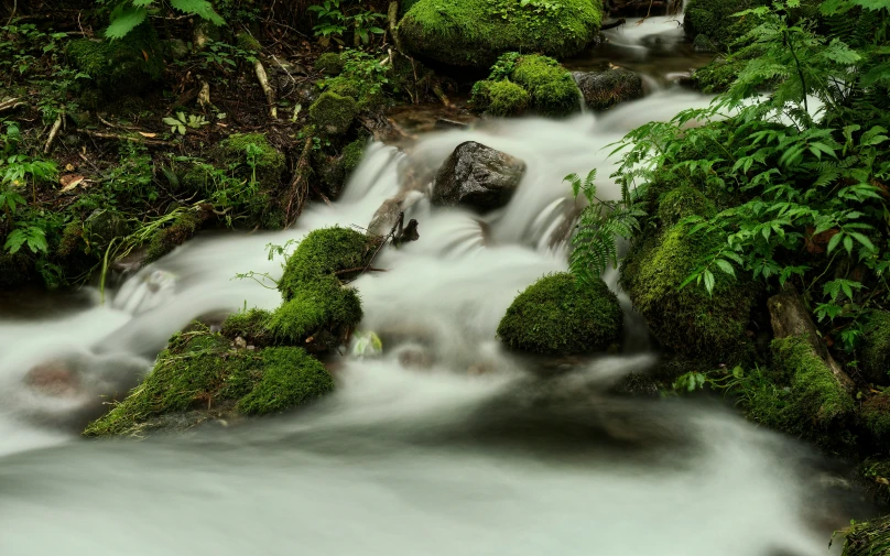 a stream is surrounded by green plants and rocks