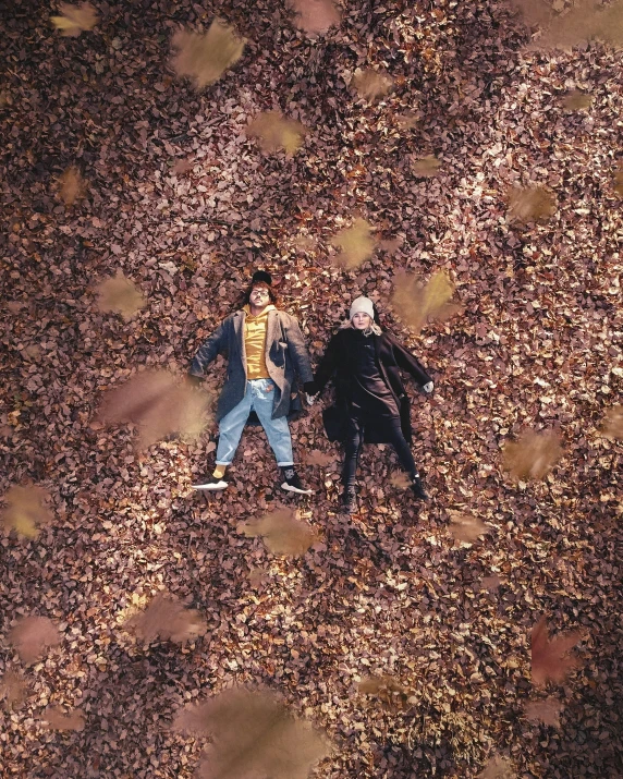 an overhead view of two people standing on leaves