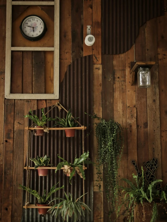 this room has some hanging planters on the wall