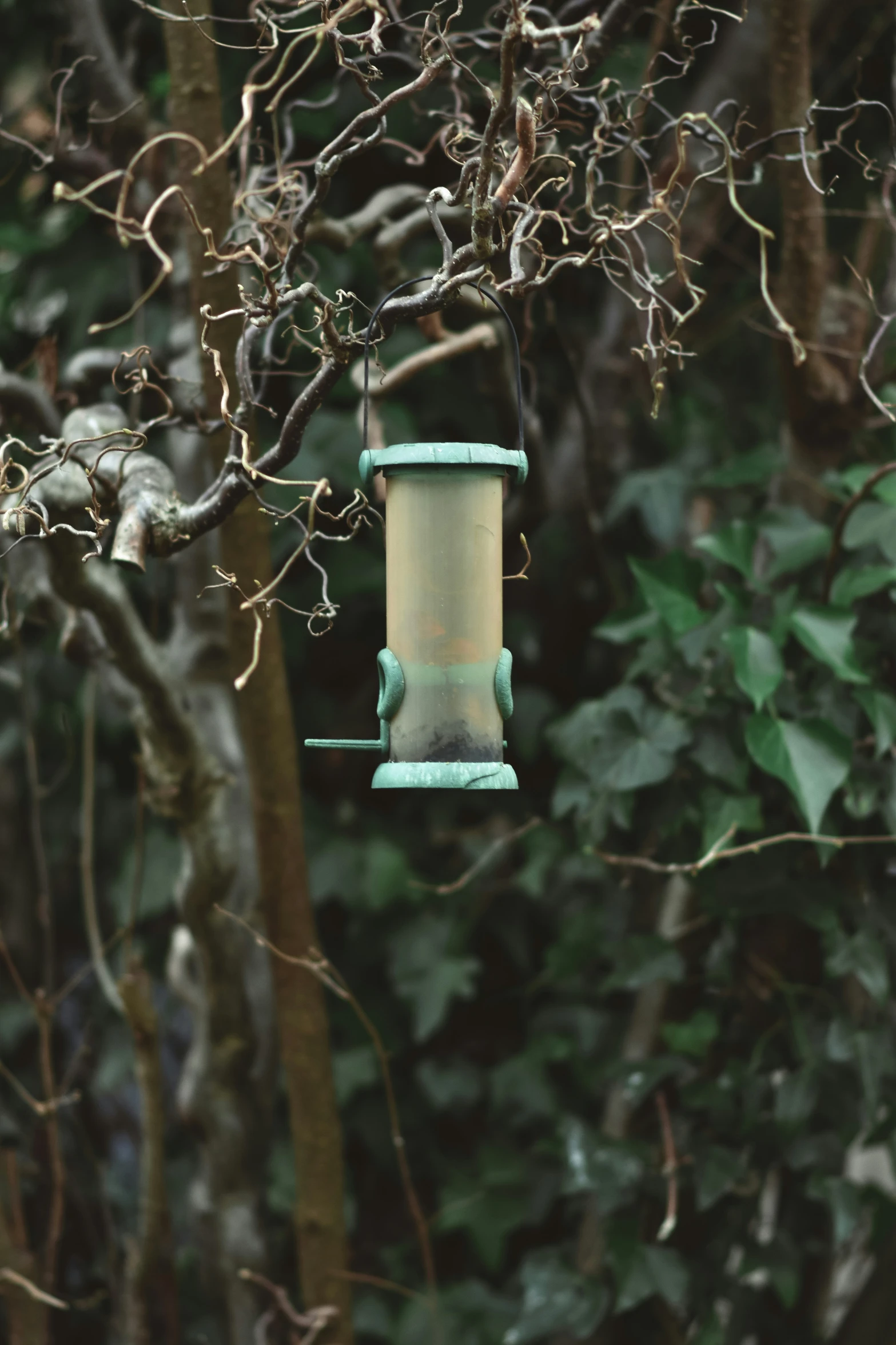 a small green bird feeder hanging off the side of a tree