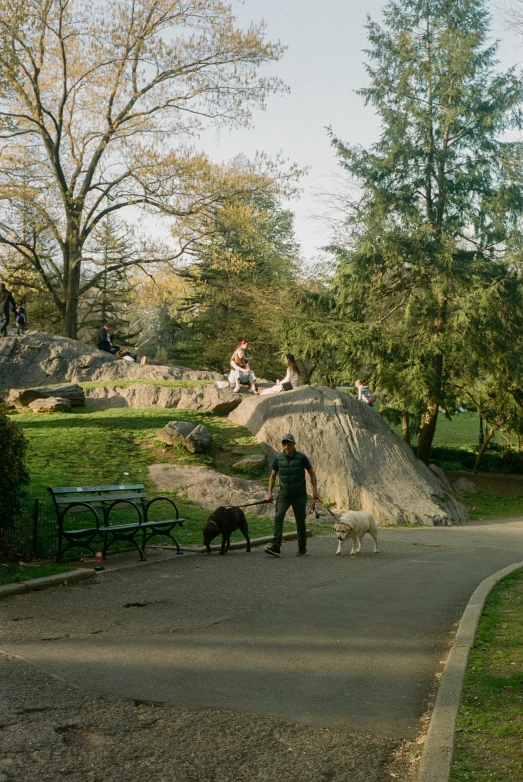 people on a rocky path with two dogs