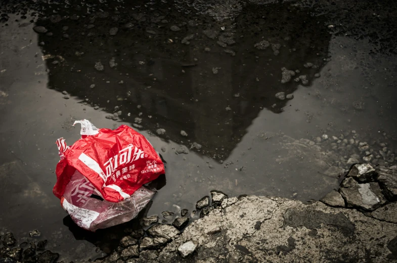 there is a bag that is in some water